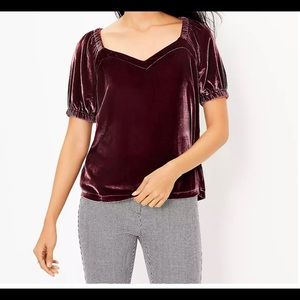 Petite Velvet Puff Sleeve Top